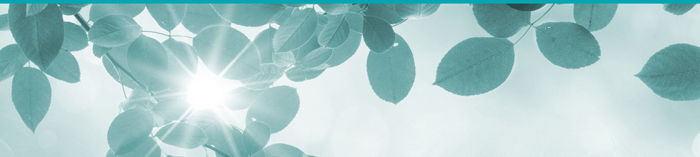 Therapie - Bild: Sonne scheint durch Blätter